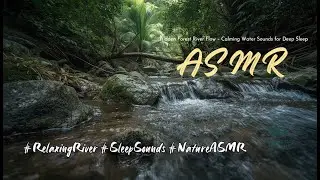 (3 Hours) Hidden Forest River ASMR 🌿 Flowing Water Sounds for Deep Sleep, Relaxation & Stress Relief