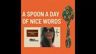 Glossary of Financial Terms | Your Daily Spoon of Latin Power Words 💰📚 @toroideingles