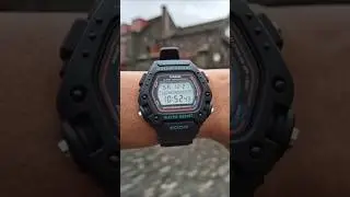 Casio DW290-1V - Wrist Roll