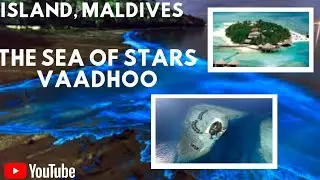 The Sea of Stars - Vaadhoo Island, Maldives ✨