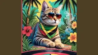 Slow Reggae Aesthetic Music