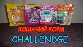 Кошачий корм ЧЕЛЕНДЖ/Cat food CHALLENGE