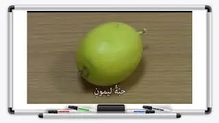 العلوم  - الصف السادس -  الدرس الخامس عشر