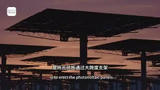 Wuwei's story of desertification prevention and control with solar panels.#CityPower #wuwei #gansu