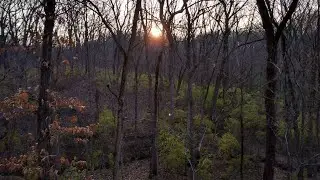 Rut Hunting - 2022 Whitetail Season Ep. 4
