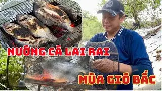 THĂM LỜ  BẮT C&Aacute; NƯỚNG LAI RAI M&Ugrave;A GI&Oacute; BẤC | Th&aacute;i Ph&uacute;c Hiền TV