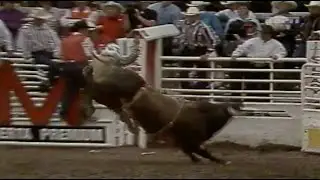 Brush Popper bucks Rick Henderson - 94 Calgary Stampede