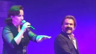 Pimpinela  Rata de dos patas