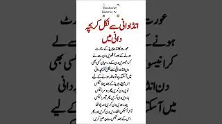Anda Dani sy Nikl Kar Bacha Dani|| Basharat Islamic tv