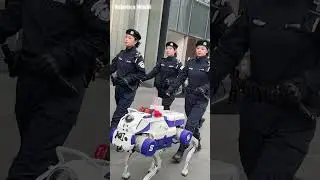 Robot dog patrols with policewoman #robot #funny  #shorts