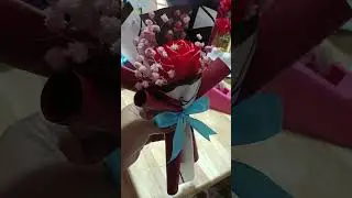 The Beautiful Of Nature 2024 #fuuny #gamingvideos #asmrsounds #beauty #flowers #worldcup#laugh #Laug