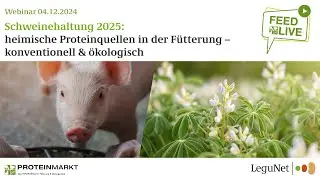 FEED LIVE Schwein 2025: heimische Proteinquellen in der Fütterung – konventionell & ökologisch