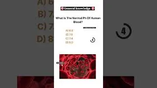 Amazing Human Body Visual |🩸This Is Happening Inside You Right Now 😳