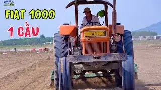 M&aacute;y c&agrave;y fiat 1000 x&aacute;c to 100 m&atilde; lực chạy xới đất trồng m&igrave; ở hồ dầu tiếng. thiện vũ tv