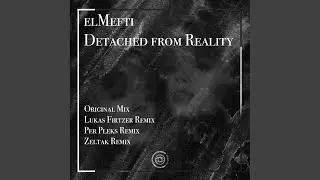 Detached from Reality (Lukas Firtzer Remix)