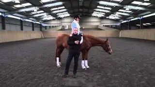Lesson 3 : Rising Trot / Posting Trot