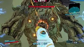 (Borderlands 3) buffed kings/queens call + phasecast amara is quite nice