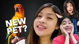 NEW PET FOR NIANA AND NATALIA!! | Chelseah Hilary