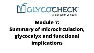 Summary of microcirculation, glycocalyx and functional implications