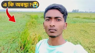 শুধু এক রাতে কি হয়ে গেল😭 #agriculture #rain #villagelife | Sohag Kakku