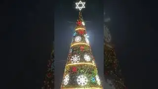 Amazing Huge 40 Feet Christmas Tree #shorts