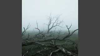 Splintered Field