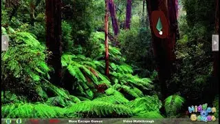Easy Escape Green Forest walkthrough Hiddenogames.