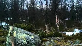 Med r&aring;dyr p&aring; ridetur.