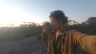 Explaining Hemp-Led Restoration!
