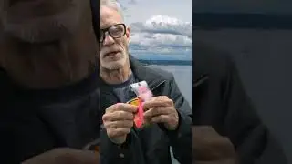Pink Salmon Jig Testing no2, Puget Sound shore Fishing! #shorts #fishingequipment #salmonfishing