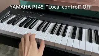 Как отключить локальное управление на Yamaha P145