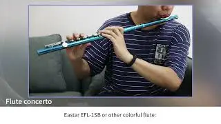 Eastar EFL-1SB Musical Flute Scale C Closed Hole 16-Key-EB017