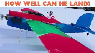 STOL Landings by Snoopy!