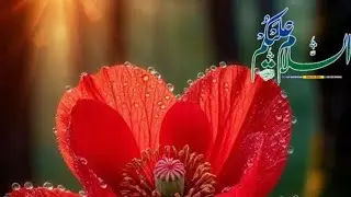 sharique husaini vlogs is live,Allah Aap sada khush rakhkhe