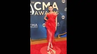 Kelsea Ballerini's Heartbreak: A Final Goodbye to Her Beloved 'Soul Dog'