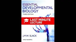 Mesodermal Organ Development | Chapter 15 &ndash; Essential Developmental Biology (3rd)