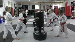 Boxsack Kicken #karate #karatekid #martialarts #kickboxen #kickboxing