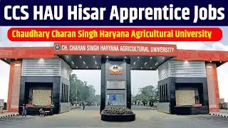 HAU Hisar Apprentice Recruitment 2025 | #hisar #ccs #ccshau #hauccs #apprentice #shorts