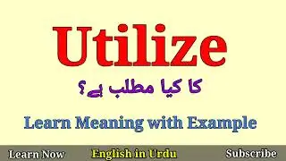 Utilize Meaning in Urdu