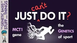 Just (Can&rsquo;t) Do It? The role of the MCT1 gene in sport