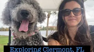 Exploring Things To Do In Clermont, FL + Dog Friendly Activities In Florida