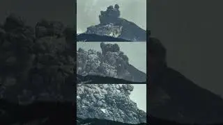 Photos with disturbing backstories part 3 #scary #ghost #creepy #paranormal #mystery #shorts #fyp