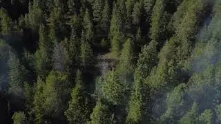 Wildland fire 2025