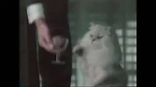 Fancy Feast Commercial 1990