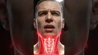 Inside Your Larynx: The Hidden Mechanism of Sound