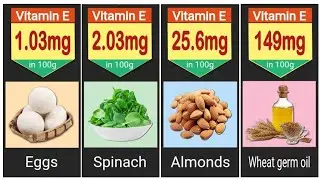 36 Vitamin E Rich Foods