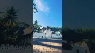 #temple of tooth#kandy #buddhism #motivational #religion #lordbuddha #motivation