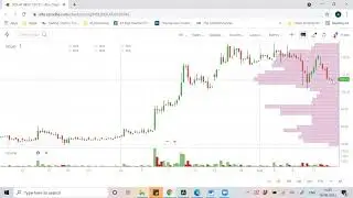 Technical Analysis - Bear Traps