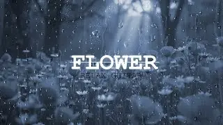 Healing Rain Sounds | Relaxing Guitar in a Peaceful Flower Field