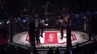 Henry Bannert vs Spatarelu ionut